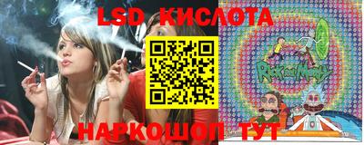 гашик Дубна