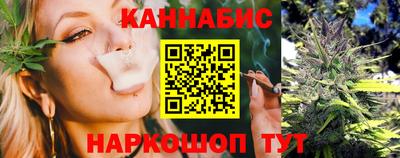 гашик Дубна