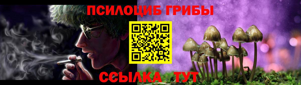 Галлюциногенные грибы Cubensis  Вход с VPN  Ишим  Галлюциногенные грибы Psilocybe 